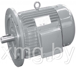 ЭЛЕКТРОДВИГАТЕЛЬ 22 КВТ ATEX MTX1800L04265 - фото 1 - id-p99675155