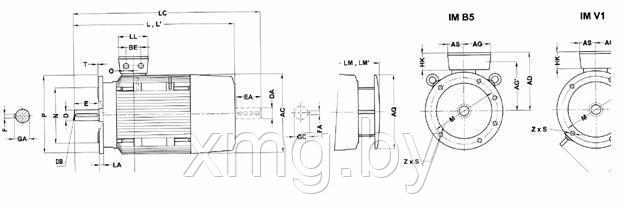 ЭЛЕКТРОДВИГАТЕЛИ SIEMENS 1LG - фото 5 - id-p99675545