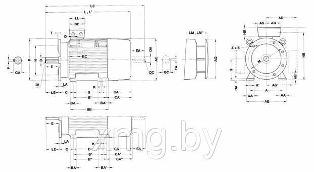 ЭЛЕКТРОДВИГАТЕЛИ SIEMENS 1LG - фото 8 - id-p99675545