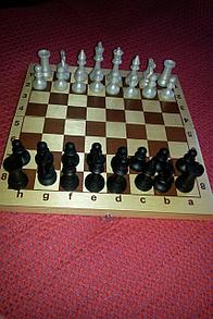 Шахматы пластмассовые Ш 16