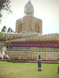 Шри- Ланка. Посещение 16-26.07.2014 г