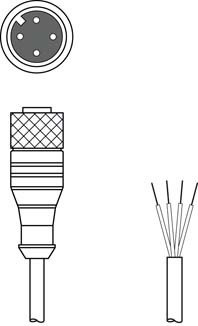 50104570 | K-D M12A-4P-2m-FAB - Connection cable, фото 2