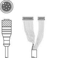 50115050 | K-DS M12A-MA-8P-3m-S-PUR - Interconnection cable