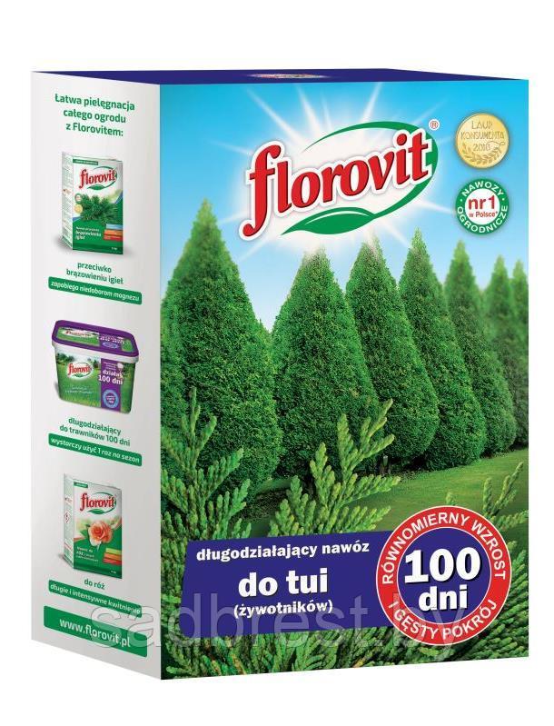 Удобрение для туй и хвойных длительного действия 100 дней Флоровит Florovit 1 кг коробка