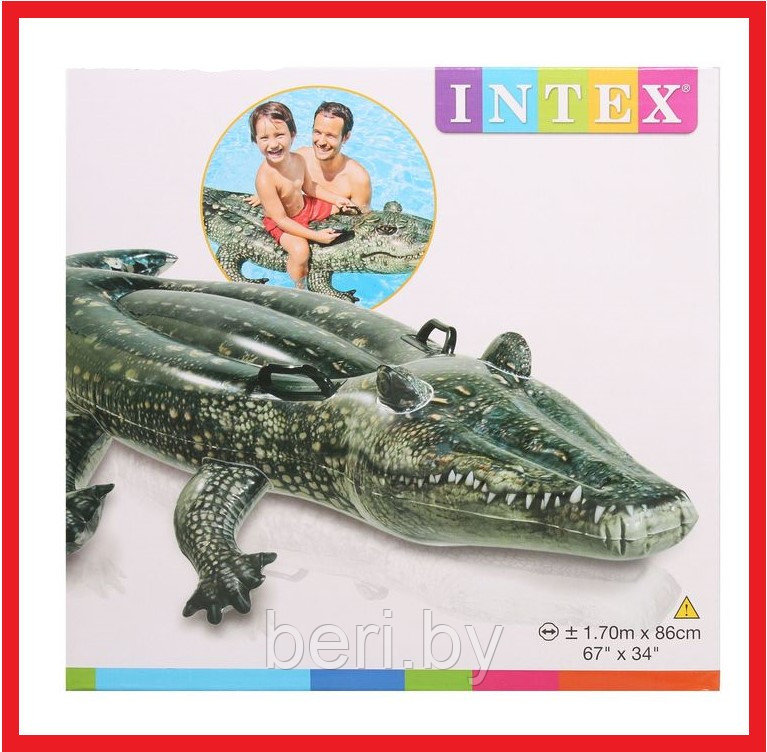 INTEX 57551NP Надувная игрушка-наездник "Настоящий аллигатор" (170х86 см), от 3 лет, интекс - фото 3 - id-p100141724