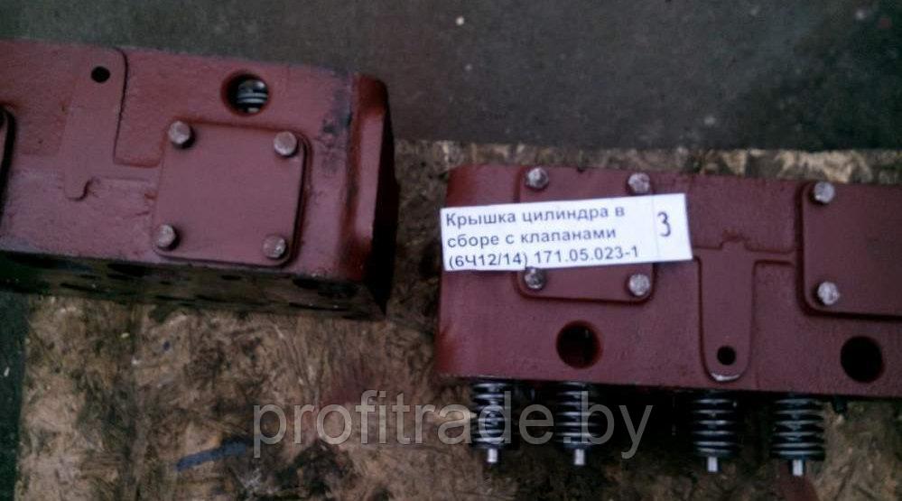 Головка цилиндра в сборе с клапанами 171.05.023.1