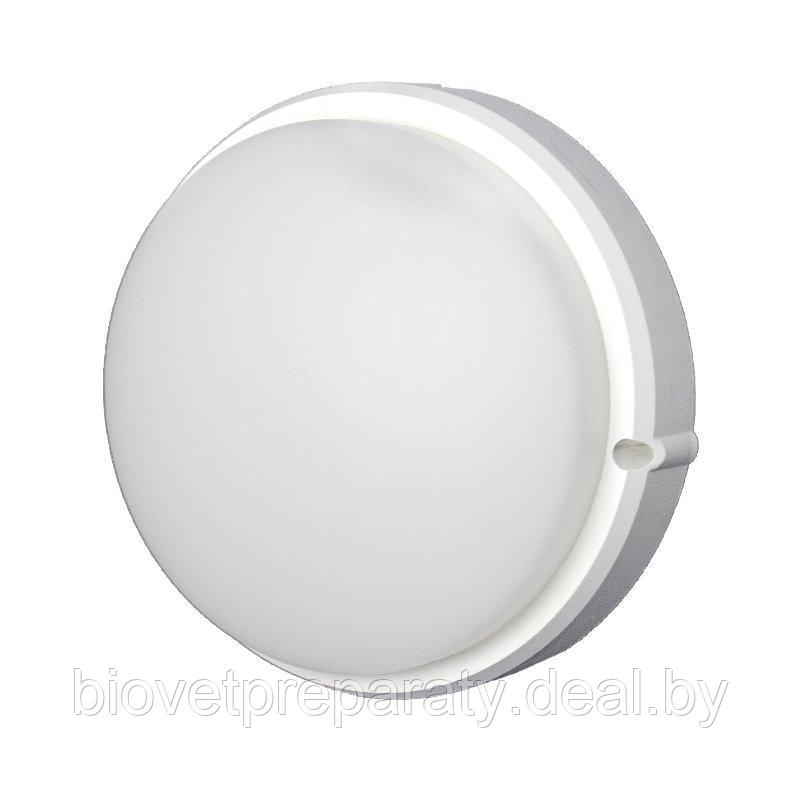 Светильник банник IP65-12W-6500К LED круг - фото 1 - id-p50495597