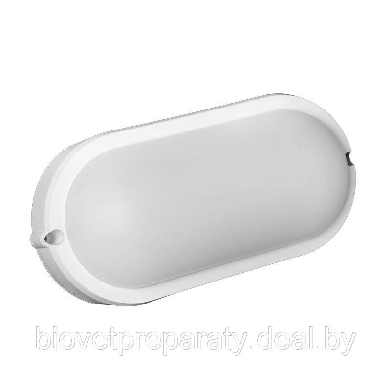 Светильник банник IP65-12W-6500К LED овал ,круг