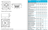 Розетка двойная ТВ+RJ45/ компьютерная, меанизм, кат. 5Е  ATLAS DESIGN, фото 2