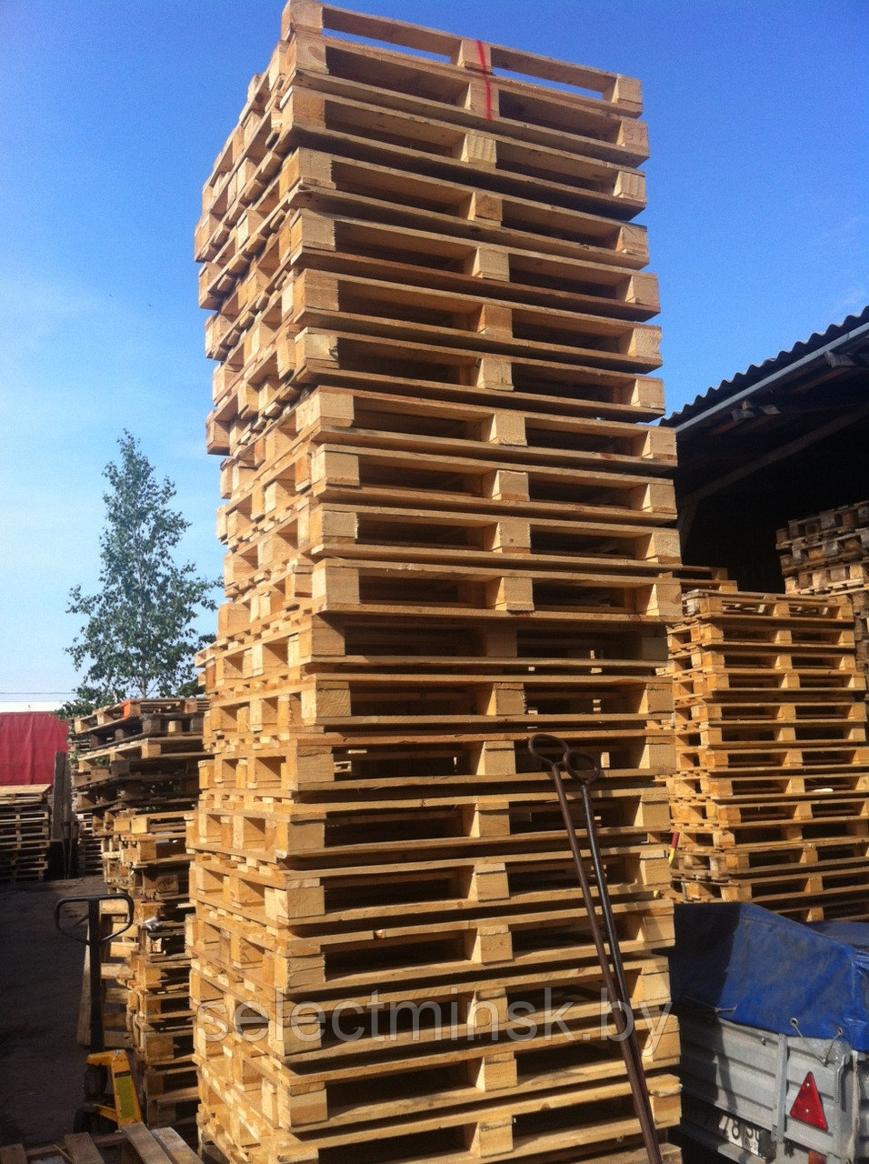 Поддоны деревянные 1200х1000 (СР) - фото 1 - id-p3751964