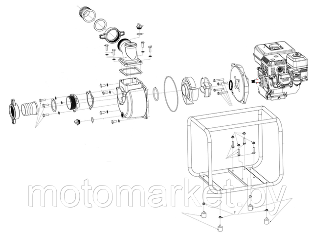 zapchasty dlia motopompy motomarket.by