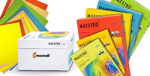 Бумага цветная A4, 80г/м, 250 л. "Maestro Color" mix pastel