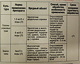 Гербицид Лорнет Стоп-сорняк ВР флакон 50 мл, фото 2