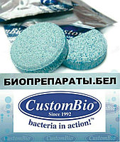 Биопрепарат для выгребной ямы,(1 табл. на 5,6 м.куб.) Septic Fizzytabs , (3 таблетки)