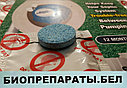 Биопрепарат для выгребной ямы,(1 табл. на 5,6 м.куб.) Septic Fizzytabs™, (6 таблеток), фото 3