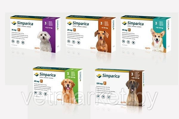 Симпарика, таблетка от клещей для собак весом 40-60 кг.