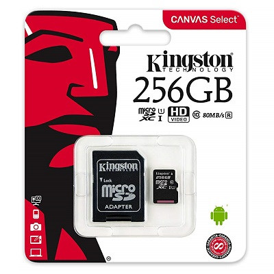 Карта памяти Kingston Canvas Select Micro SDXC UHS-1 256Gb - фото 1 - id-p101100747