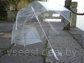 Зонт-трость Прозрачный купол (Transparent umbrella) SU 0009, фото 2