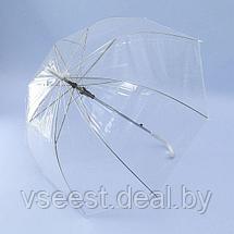 Зонт-трость Прозрачный купол (Transparent umbrella) SU 0009, фото 2