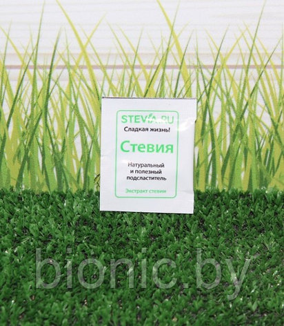 Заменитель сахара Стевиозид в саше, , "Stevia.RU", 0,2гр., фото 2