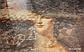КЕРАМИЧЕСКИЙ ГРАНИТ Kerama Marazzi Ковер Венеция декорированный обрезной 119,5х238,5, фото 7