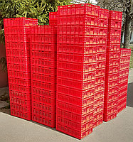 Ящик №14; 600х400х160 мм пластиковый зеленый, фото 6