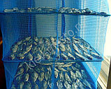 Сушилка для рыбы и грибов, 3 яруса(35х35х65), фото 2
