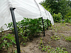 Парник Огурчик Премиум под спанбонд (покрытие в комплекте), фото 3