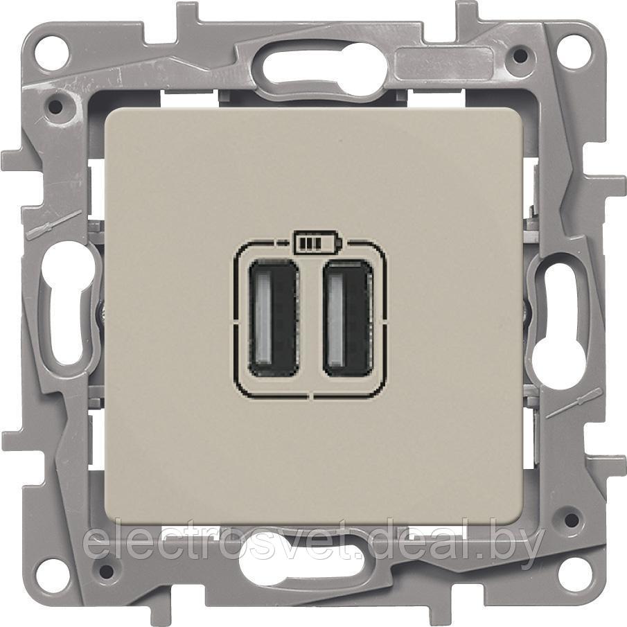 Etika - Зарядное устройство с двумя USB-разъемами 240В/5В 2400мА. (сл.кость) - фото 1 - id-p101643483