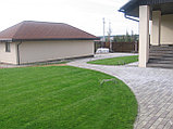 Рулонный газон с подготовкой почвы и укладкой., фото 7