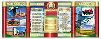 Стенды по идеологии "Символика Республики Беларусь" р-р 350*135 см, с колоннами