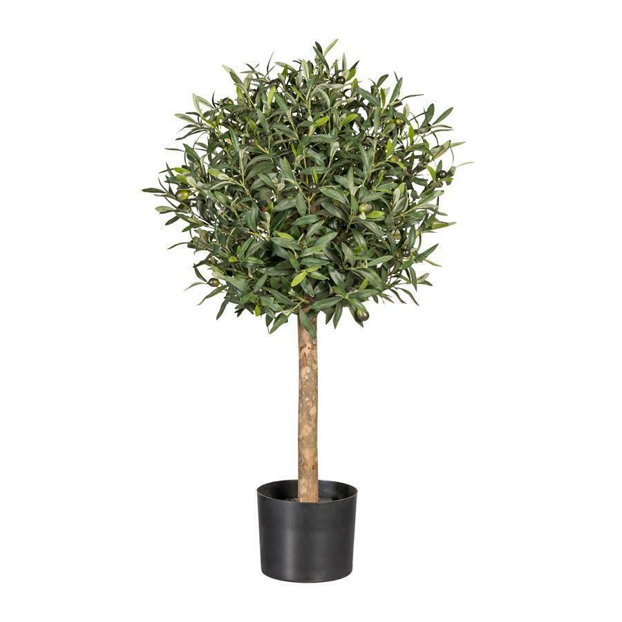 Оливковое дерево Olivenkugelbaum, 90 см