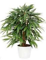 Фикус искусственный Weeping-Ficus, 80 см, зеленый