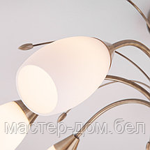 Eurosvet 30280/8, фото 2