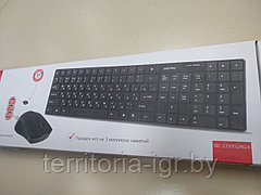 Беспроводной набор Клавиатура+мышь SBC-229352AG-K черный Smartbuy