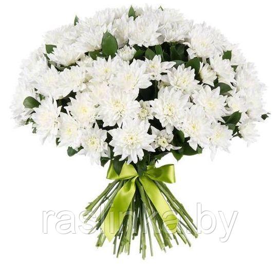 Букет из 25 кустовых хризантем Балтика белая - фото 1 - id-p101883433