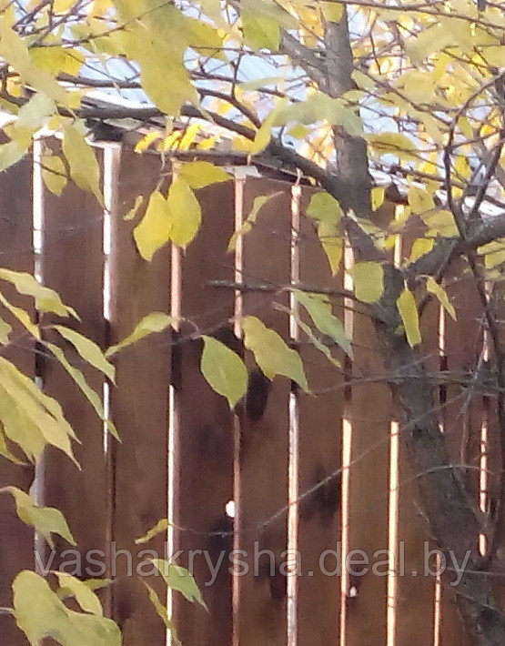 Забор из деревянного штакетника - фото 7 - id-p74369340
