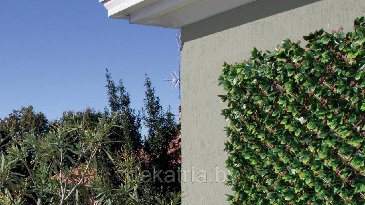 Изгородь с листьями DIVY TRELLIS 3D 1х2м. - фото 4 - id-p77562070