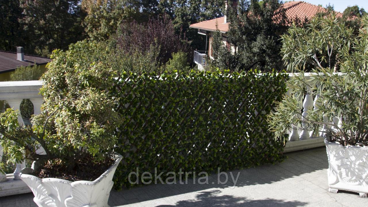 Изгородь с листьями DIVY TRELLIS 3D 1х2м. - фото 6 - id-p77562070