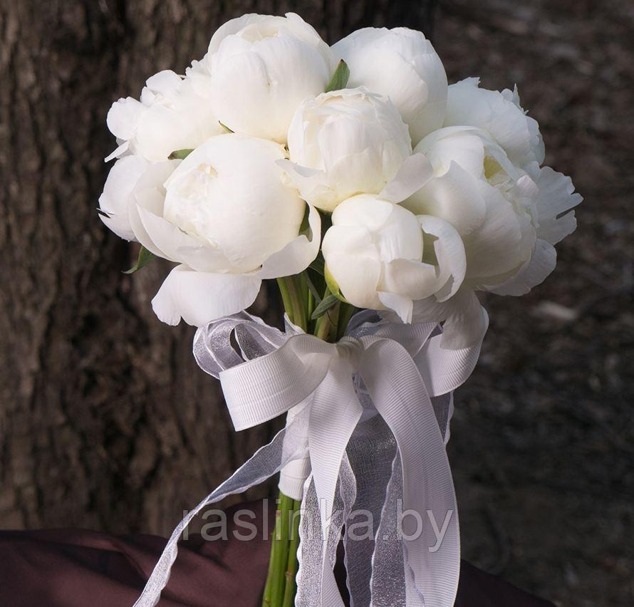 Букет невесты Белый лебедь - фото 1 - id-p101905152