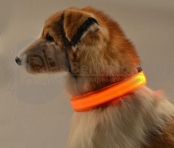 Светящийся ошейник для собак (3 режима) Glowing Dog Collar Оранжевый S (MAX 40 sm)