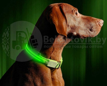Светящийся ошейник для собак (3 режима) Glowing Dog Collar Зеленый