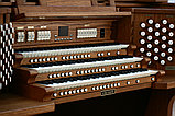Электроорган Viscount Organs Unico 500, фото 2