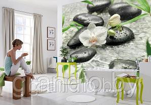 Фотообои 3д на стену цветы белые на черных камнях