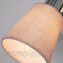 Eurosvet 20080/1, фото 2