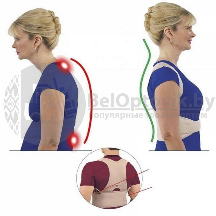 Магнитный корректор осанки ROYAL POSTURE SUPPORT TV. NEW - фото 7 - id-p102466041