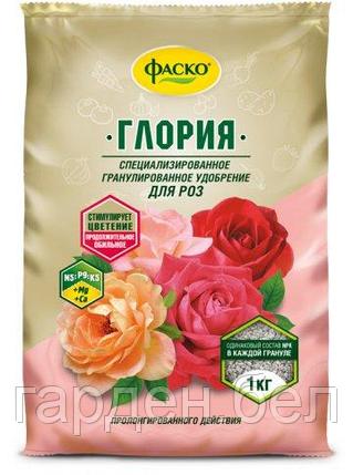 Глория Фаско® 1кг., фото 2
