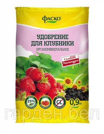 Клубника Фаско® 0,9кг., фото 2