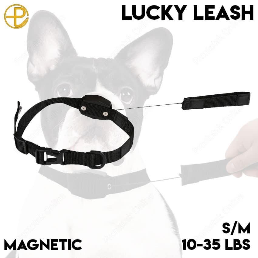 Регулируемый поводок Lucky Leash - фото 3 - id-p102529980