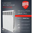 Радиатор биметаллический Royal Thermo Revolution Bimetall 500, фото 5